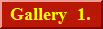 Gallery 1