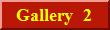 Gallery  2